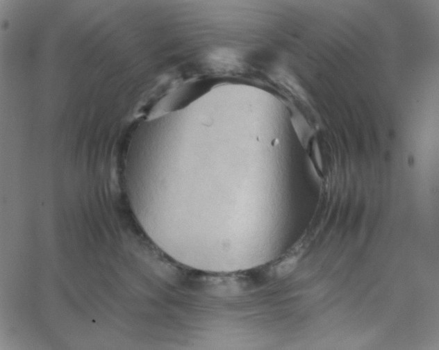 X0000067520524200604281637