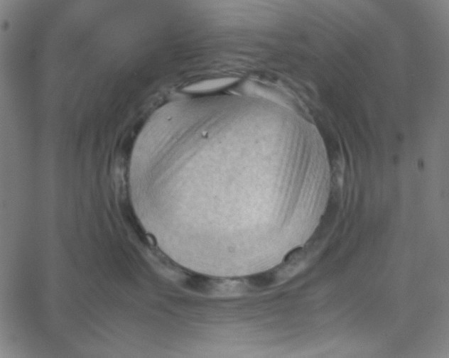 X0000067520527200604281637