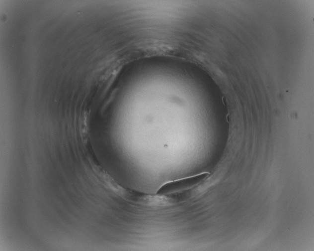 X0000067520528200604281637