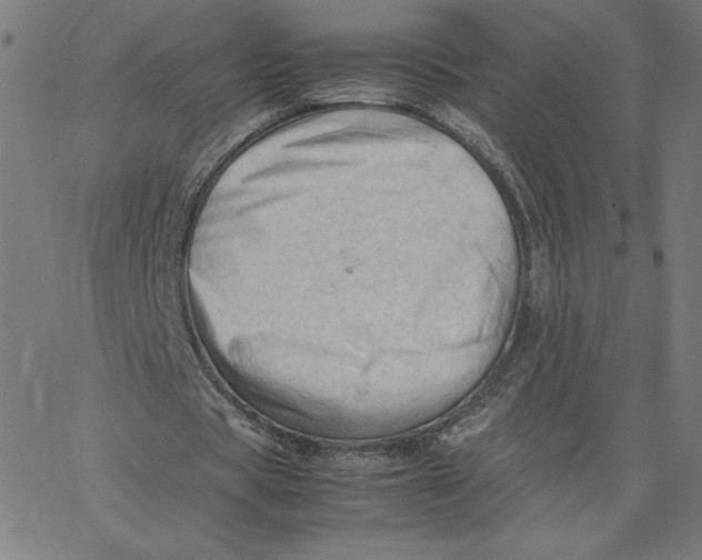 X0000067520529200604281636