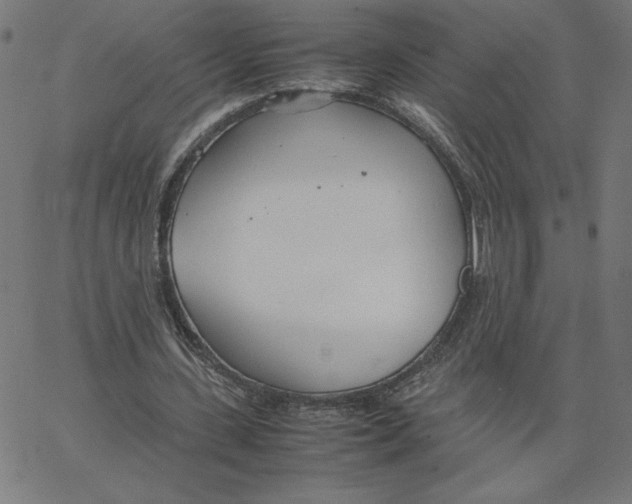 X0000067520531200604281636