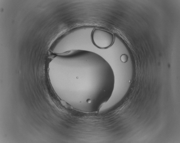 X0000067520534200604281636