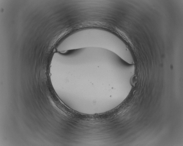 X0000067520538200604281636