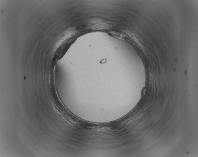 X0000067520539200604281636