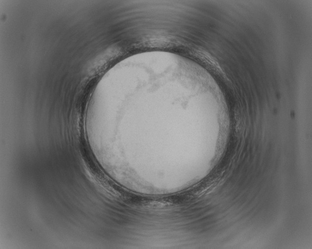 X0000067520542200604281637