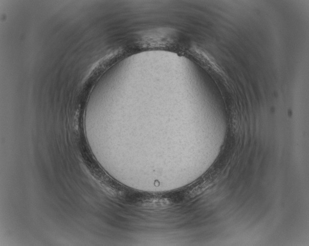 X0000067520543200604281637