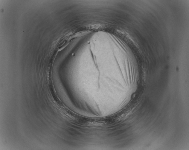 X0000067520545200604281637