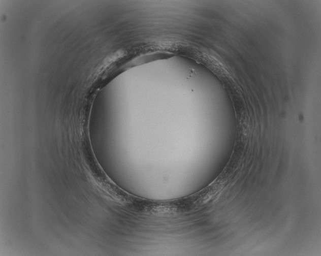 X0000067520546200604281637