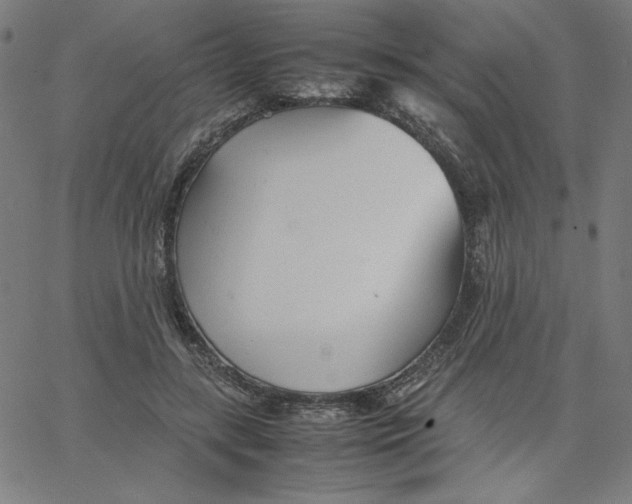 X0000067520547200604281637