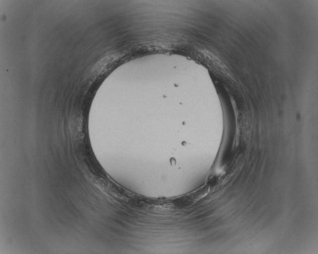 X0000067520548200604281637