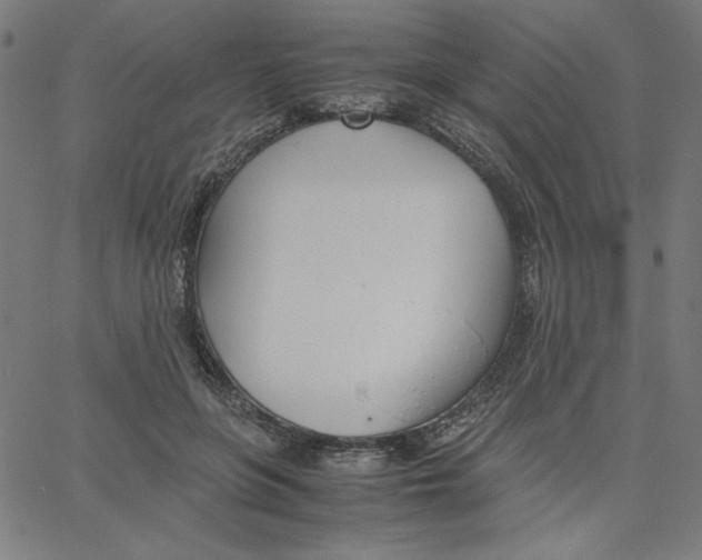 X0000067520551200604281637