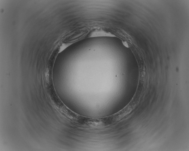 X0000067520552200604281637