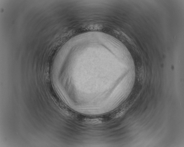 X0000067520553200604281637