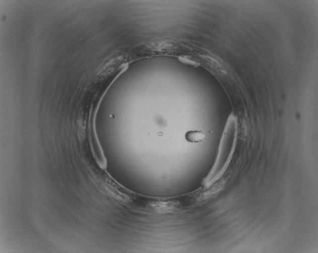 X0000067520558200604281637