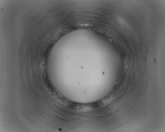 X0000067520559200604281637