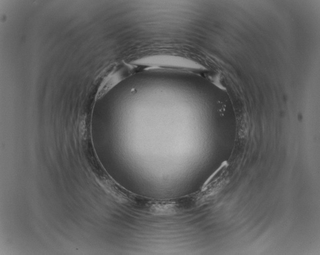 X0000067520560200604281637