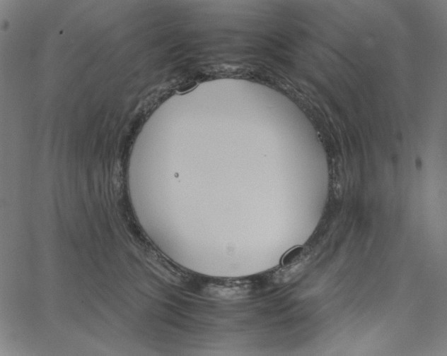 X0000067520563200604281637