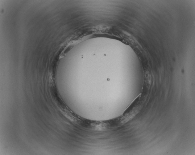 X0000067520564200604281637