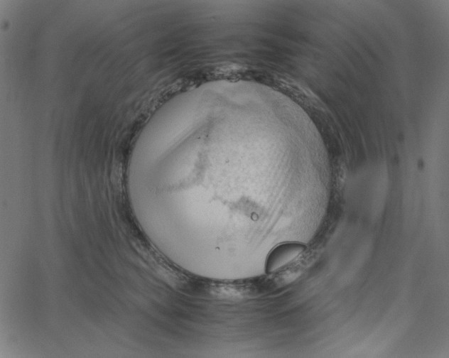 X0000067520565200604281637