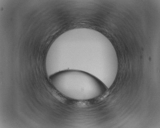 X0000067520566200604281637