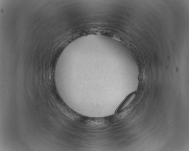 X0000067520567200604281637