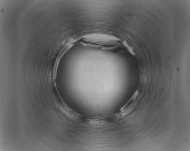 X0000067520568200604281637