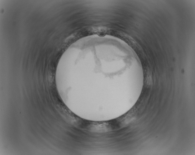 X0000067520569200604281637