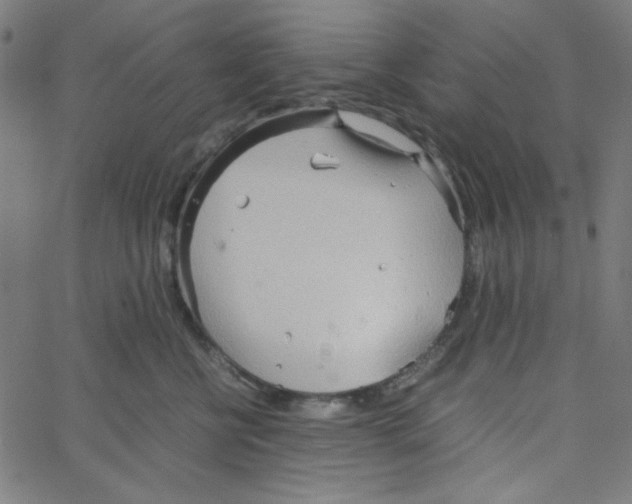 X0000067520570200604281637