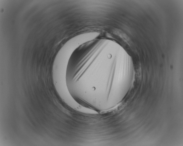 X0000067520572200604281637