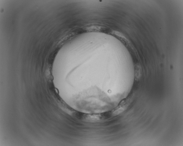 X0000067520573200604281637