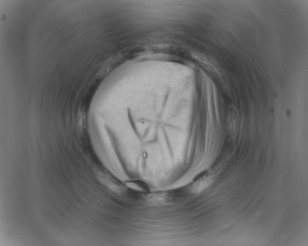 X0000067520574200604281637