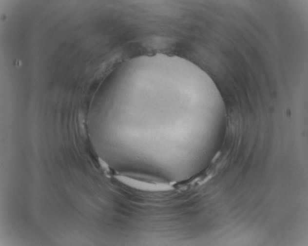 X0000067520575200604281637