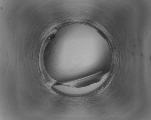 X0000067520577200604281636