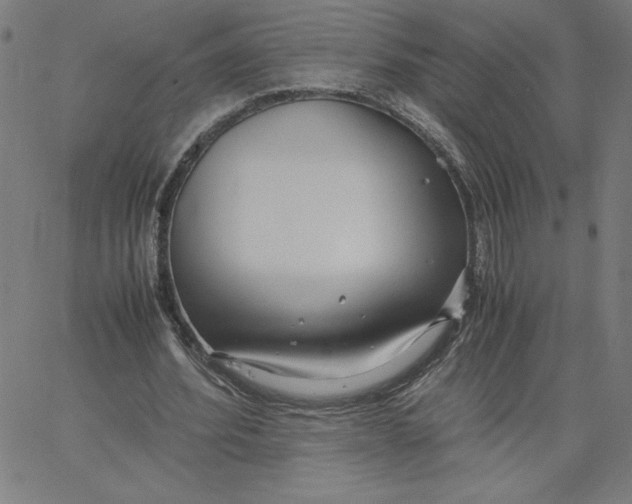 X0000067520580200604281636