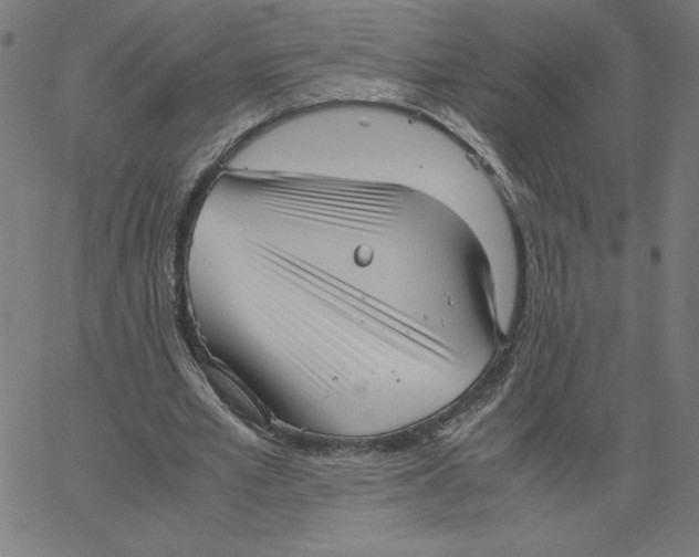 X0000067520581200604281636