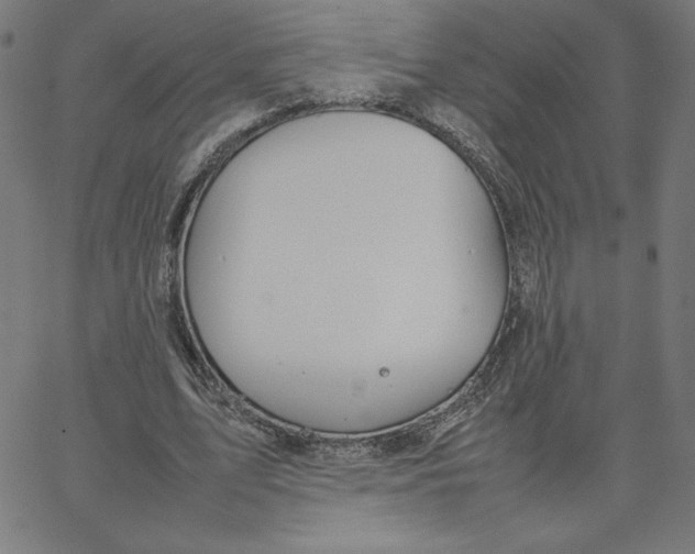 X0000067520583200604281636