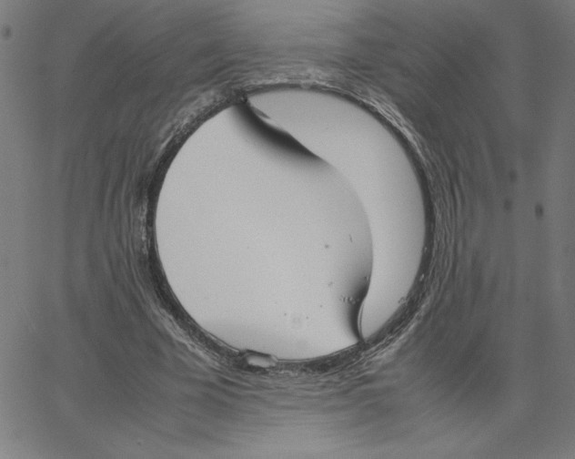 X0000067520585200604281636