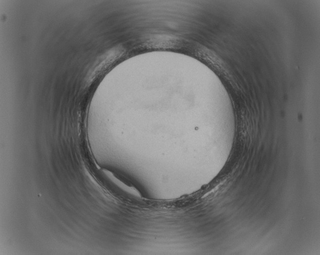 X0000067520586200604281636