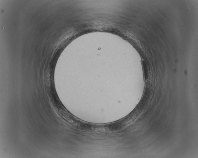 X0000067520587200604281636