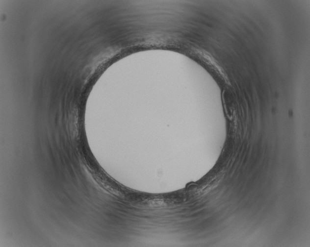 X0000067520588200604281636