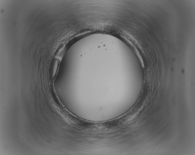 X0000067520589200604281636