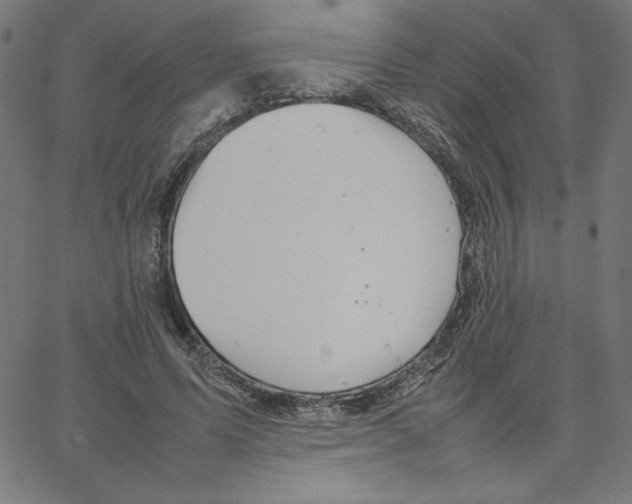 X0000067520591200604281636