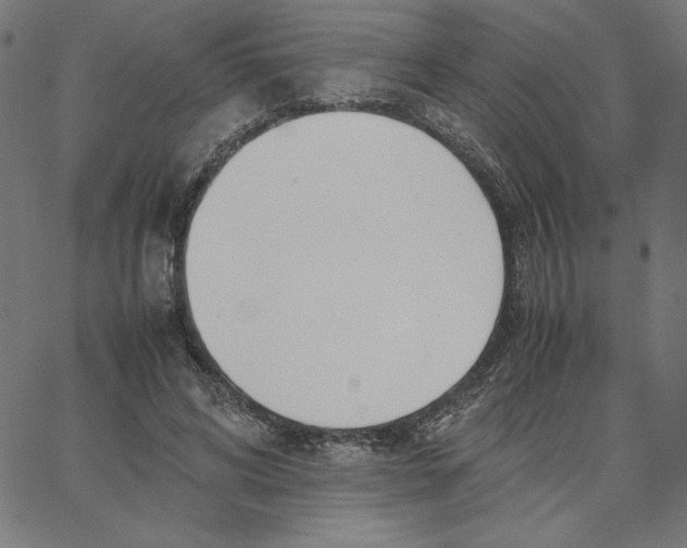 X0000067520592200604281636