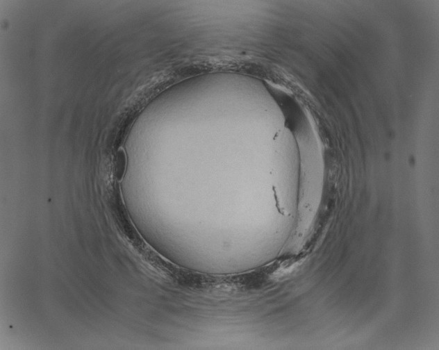 X0000067520593200604281636