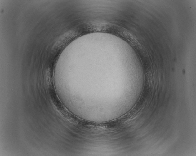 X0000067520594200604281636