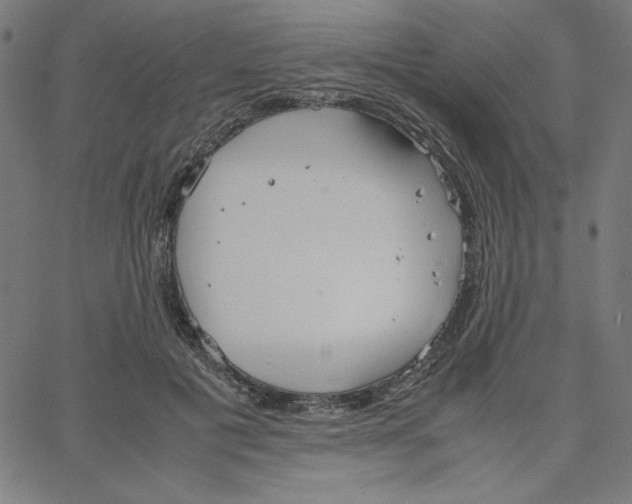 X0000067520601200604281636