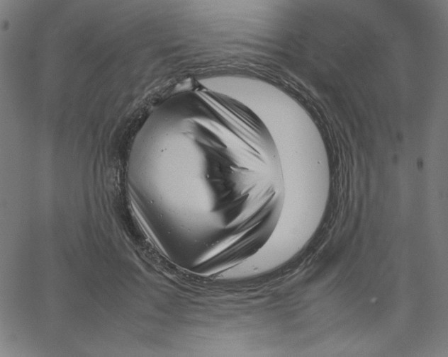 X0000067520603200604281636