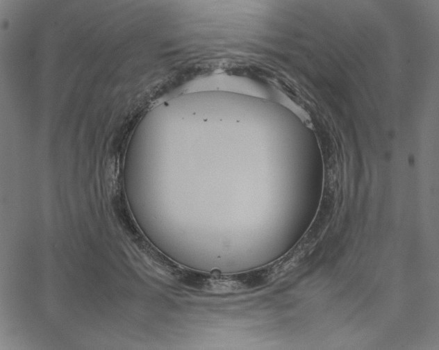 X0000067520605200604281636