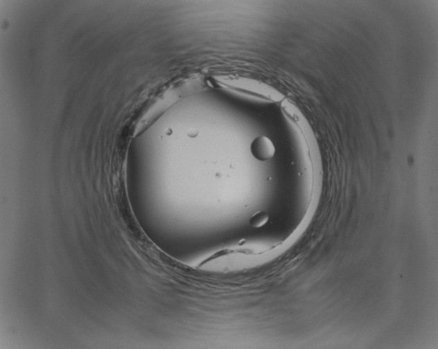 X0000067520607200604281636