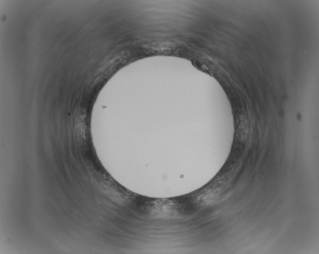 X0000067520612200604281636